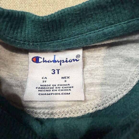 Champion Logo Sweater Pullover Athletic Crewneck Toddler Size 3T Aqua Green - Picture 3 of 7